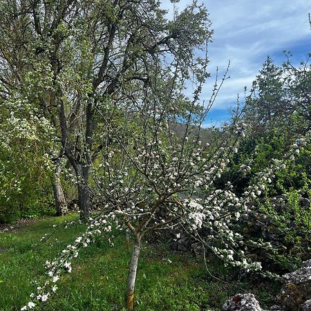 El Pecu Casa Rural Starfamiliar Bustillo Del Paramo Eksteriør bilde