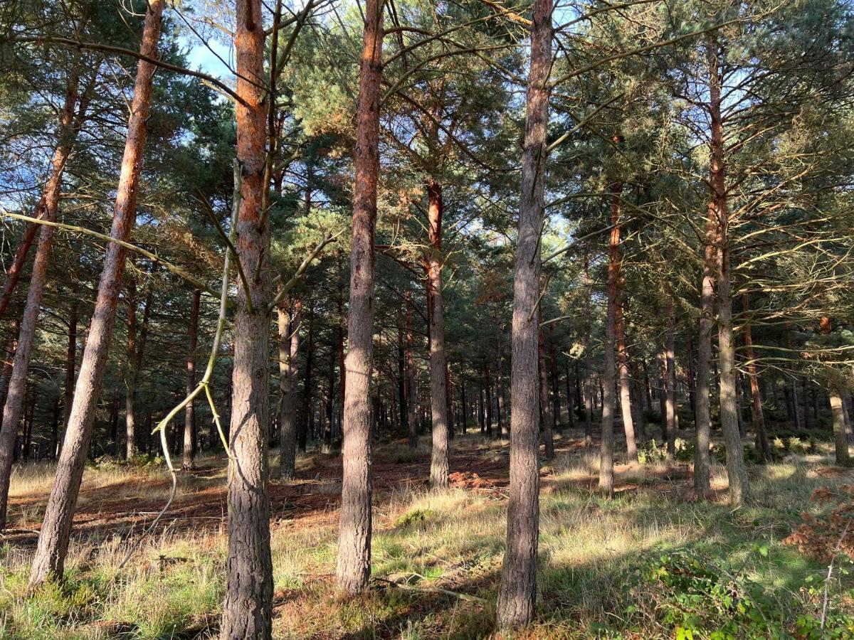 El Pecu Casa Rural Starfamiliar Bustillo Del Paramo Eksteriør bilde